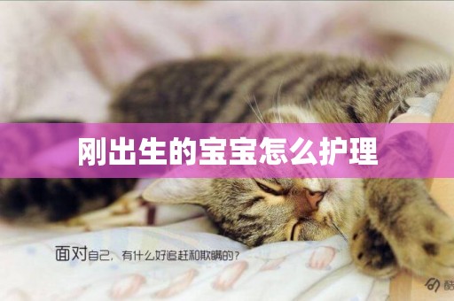 剛出生的寶寶怎么護理