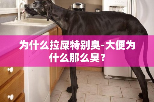 為什么拉屎特別臭-大便為什么那么臭？