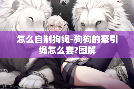 怎么自制狗繩-狗狗的牽引繩怎么套?圖解
