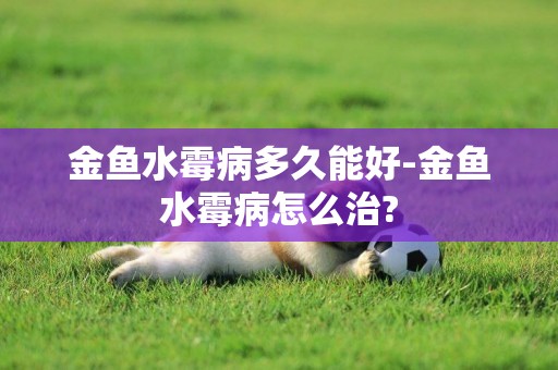 金魚水霉病多久能好-金魚水霉病怎么治?