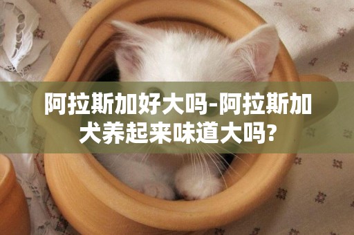 阿拉斯加好大嗎-阿拉斯加犬養起來味道大嗎?