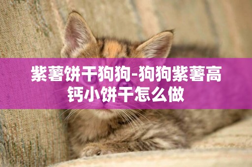 紫薯餅干狗狗-狗狗紫薯高鈣小餅干怎么做