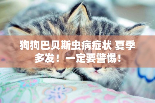 狗狗巴貝斯蟲病癥狀 夏季多發！一定要警惕！