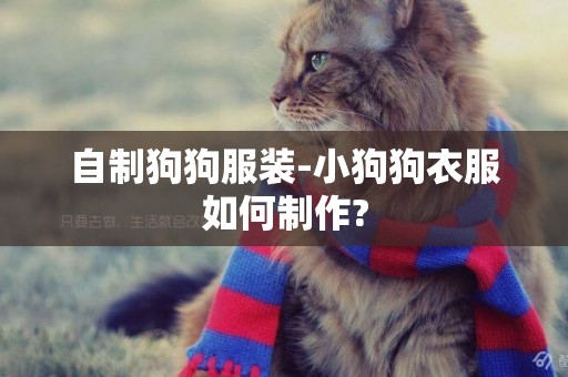 自制狗狗服裝-小狗狗衣服如何制作?