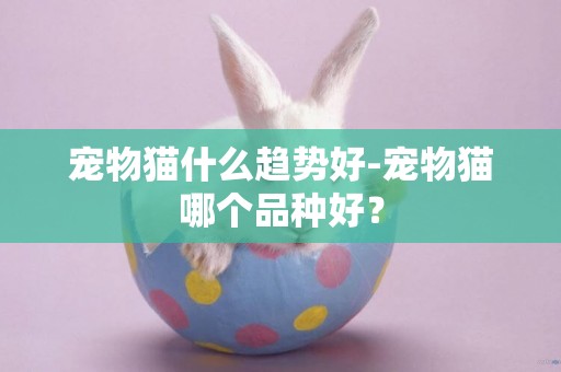 寵物貓什么趨勢好-寵物貓哪個品種好？