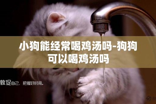 小狗能經常喝雞湯嗎-狗狗可以喝雞湯嗎
