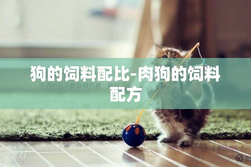 狗的飼料配比-肉狗的飼料配方