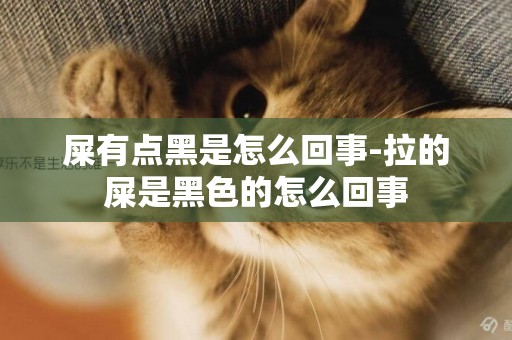 屎有點黑是怎么回事-拉的屎是黑色的怎么回事