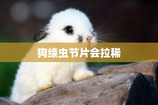 狗絳蟲節片會拉稀