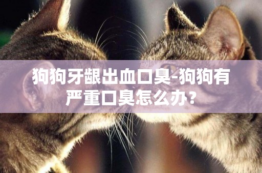 狗狗牙齦出血口臭-狗狗有嚴重口臭怎么辦？