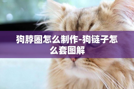 狗脖圈怎么制作-狗鏈子怎么套圖解