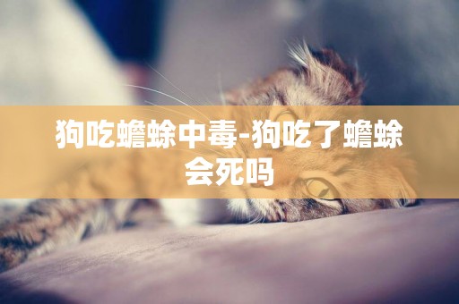 狗吃蟾蜍中毒-狗吃了蟾蜍會死嗎