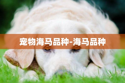 寵物海馬品種-海馬品種