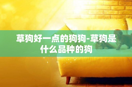 草狗好一點的狗狗-草狗是什么品種的狗