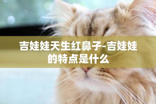 吉娃娃天生紅鼻子-吉娃娃的特點是什么