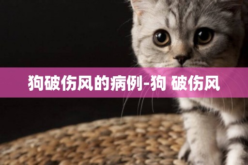 狗破傷風的病例-狗 破傷風