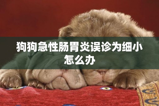 狗狗急性腸胃炎誤診為細小怎么辦