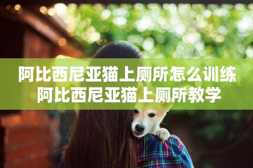 阿比西尼亞貓上廁所怎么訓練 阿比西尼亞貓上廁所教學