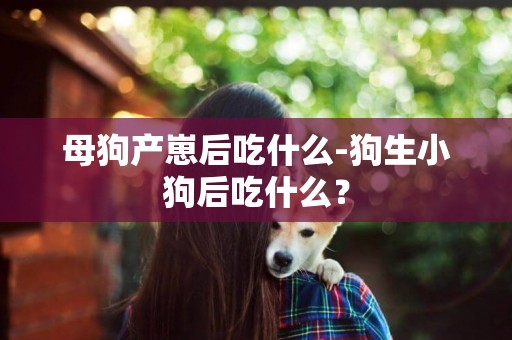 母狗產崽后吃什么-狗生小狗后吃什么？