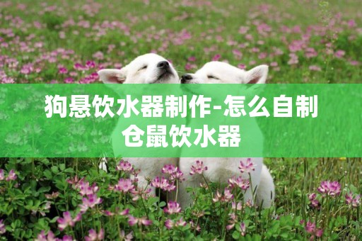 狗懸飲水器制作-怎么自制倉鼠飲水器