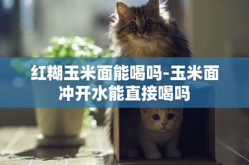 紅糊玉米面能喝嗎-玉米面沖開水能直接喝嗎