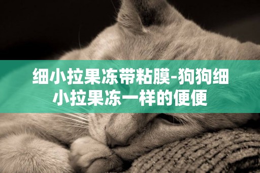 細小拉果凍帶粘膜-狗狗細小拉果凍一樣的便便