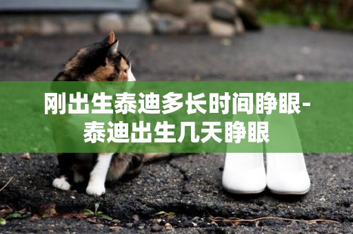 剛出生泰迪多長時間睜眼-泰迪出生幾天睜眼