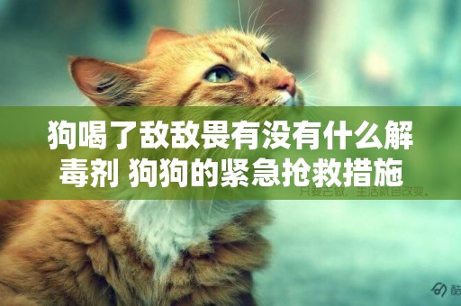 狗喝了敵敵畏有沒有什么解毒劑 狗狗的緊急搶救措施