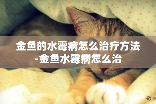 金魚的水霉病怎么治療方法-金魚水霉病怎么治