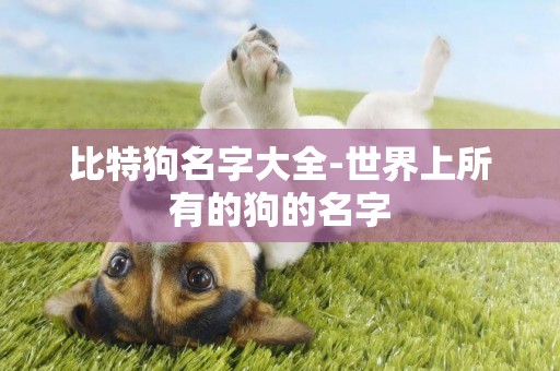 比特狗名字大全-世界上所有的狗的名字