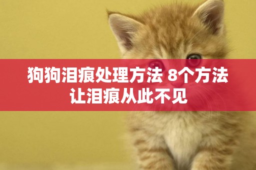 狗狗淚痕處理方法 8個方法讓淚痕從此不見