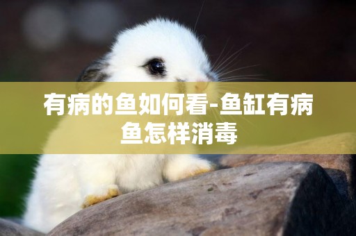 有病的魚如何看-魚缸有病魚怎樣消毒