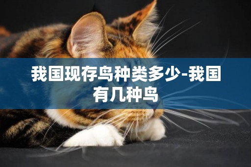 我國現存鳥種類多少-我國有幾種鳥