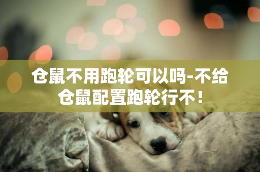 倉鼠不用跑輪可以嗎-不給倉鼠配置跑輪行不！