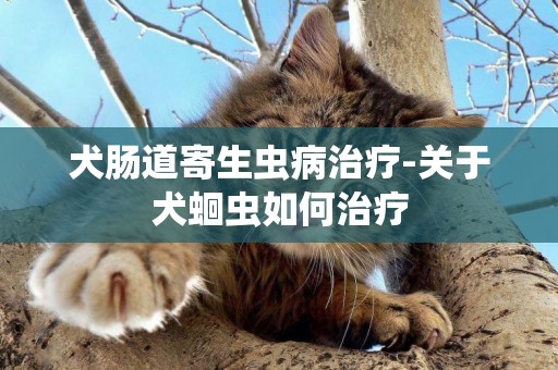 犬腸道寄生蟲病治療-關于犬蛔蟲如何治療