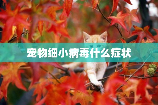 寵物細小病毒什么癥狀