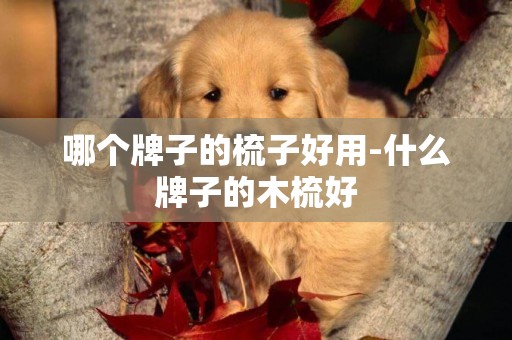 哪個牌子的梳子好用-什么牌子的木梳好