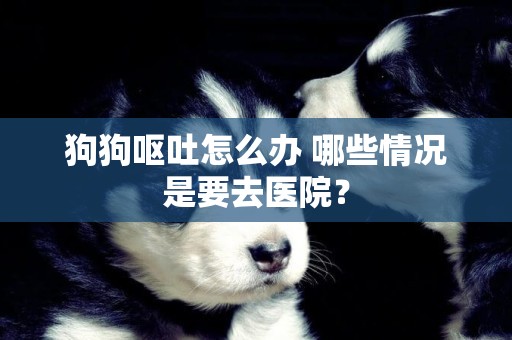 狗狗嘔吐怎么辦 哪些情況是要去醫院？
