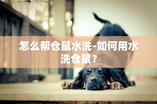 怎么幫倉鼠水洗-如何用水洗倉鼠？