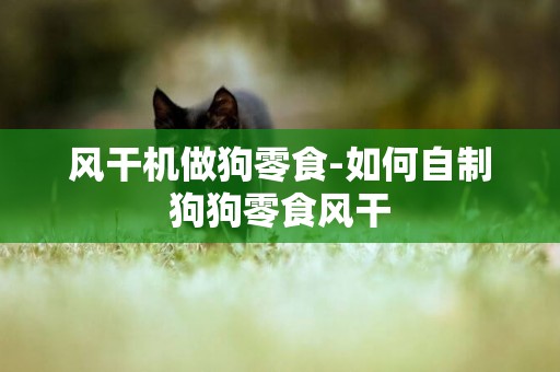 風干機做狗零食-如何自制狗狗零食風干