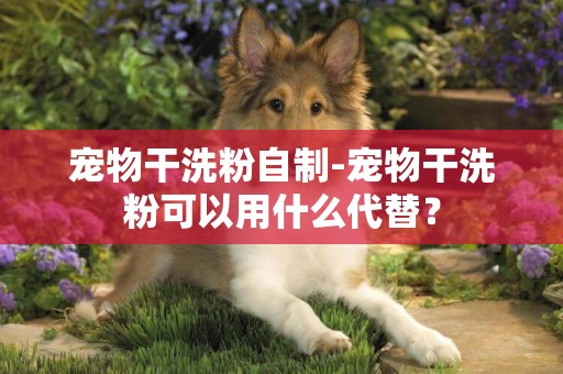 寵物干洗粉自制-寵物干洗粉可以用什么代替？