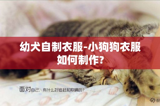 幼犬自制衣服-小狗狗衣服如何制作?