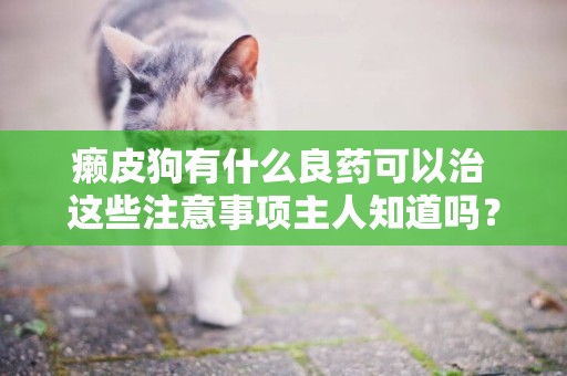 癩皮狗有什么良藥可以治 這些注意事項主人知道嗎？