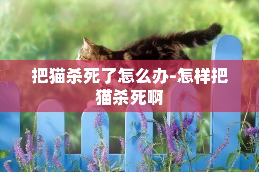 把貓殺死了怎么辦-怎樣把貓殺死啊