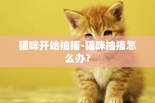 貓咪開始抽搐-貓咪抽搐怎么辦？