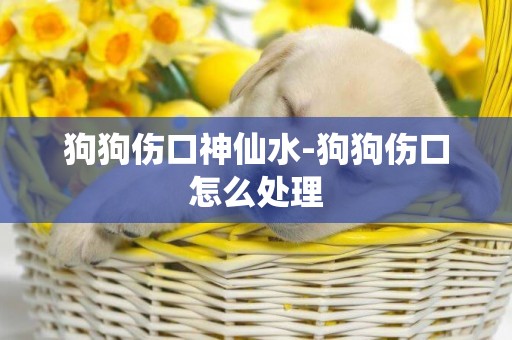 狗狗傷口神仙水-狗狗傷口怎么處理