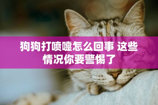 狗狗打噴嚏怎么回事 這些情況你要警惕了