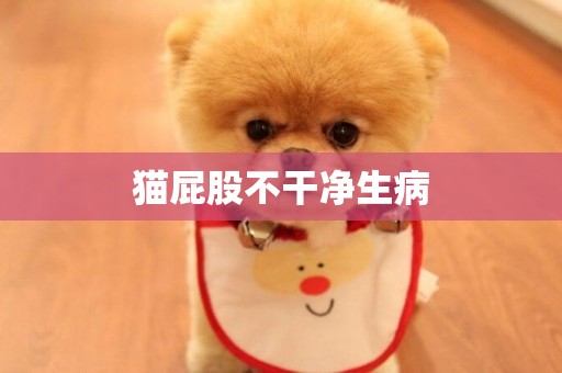 貓屁股不干凈生病