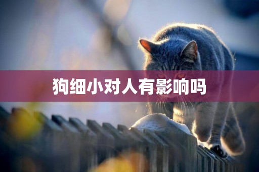 狗細小對人有影響嗎