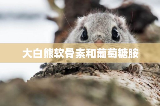 大白熊軟骨素和葡萄糖胺
